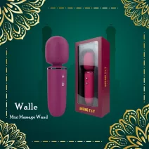 Amazing Toy Walle Mini Rechargeable Massage Wand