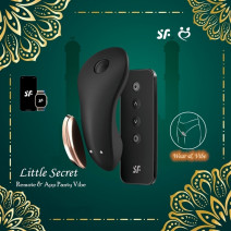 Satisfyer Little Secret Connect App Panty Vibrator