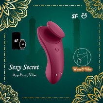 Satisfyer Sexy Secrect Connect App Panty Vibrator