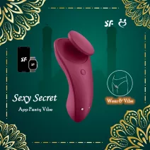 Satisfyer Sexy Secrect Connect App Panty Vibrator